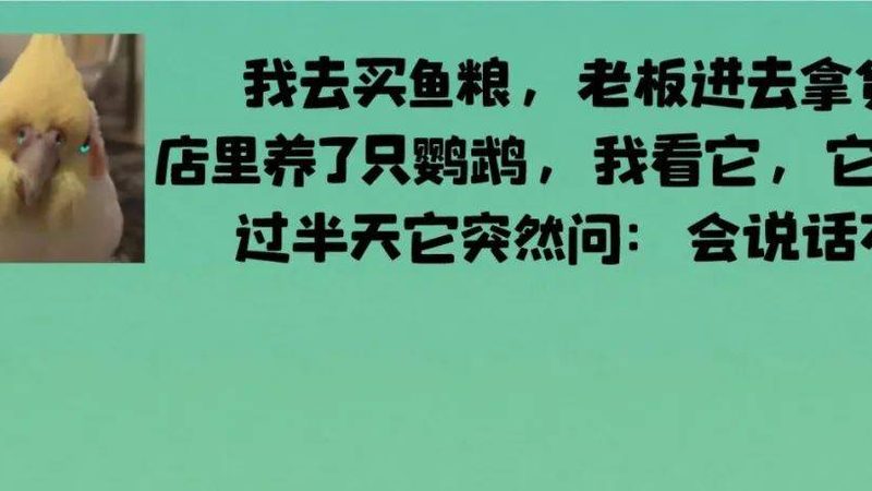 餐饮加盟资质审核：揭秘背后的标准与要点**
